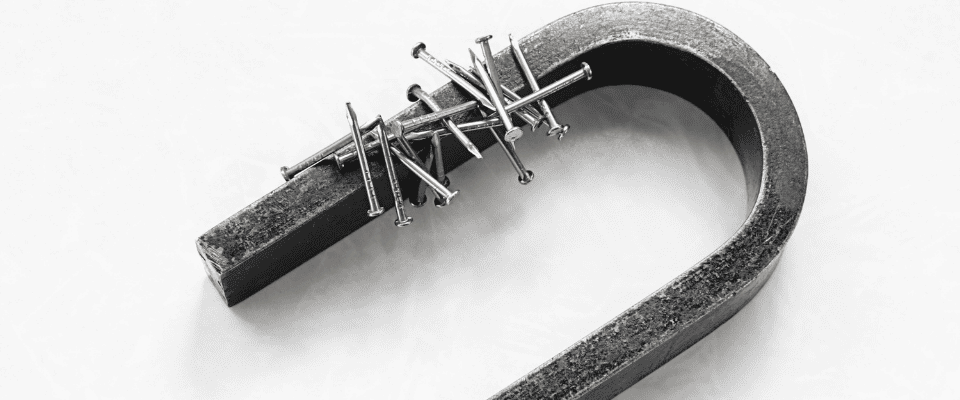 Lead-Magnet Lead-Magnet